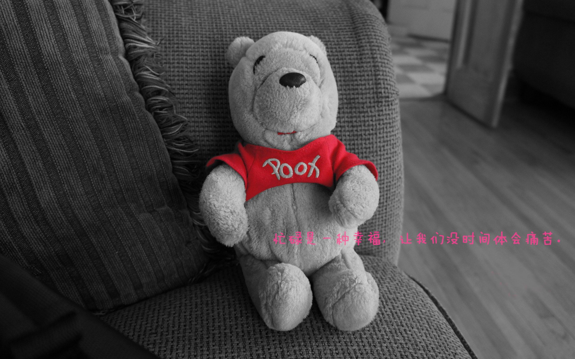 “猛龙队客场创佳绩，士气大振”，猛龙队战绩