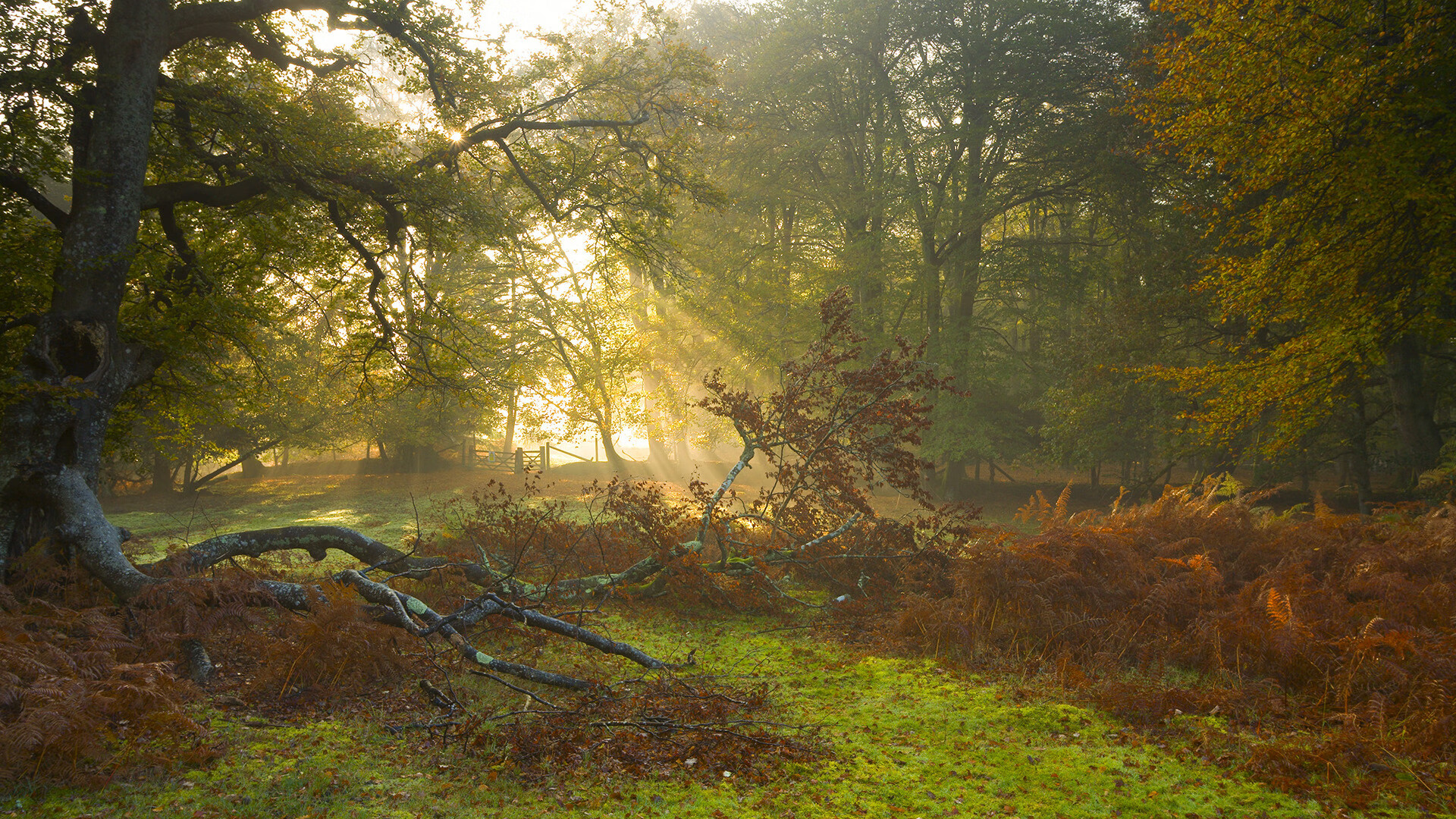Leyu Sport下载-“环球巡游：五大洲极限赛段大集合”