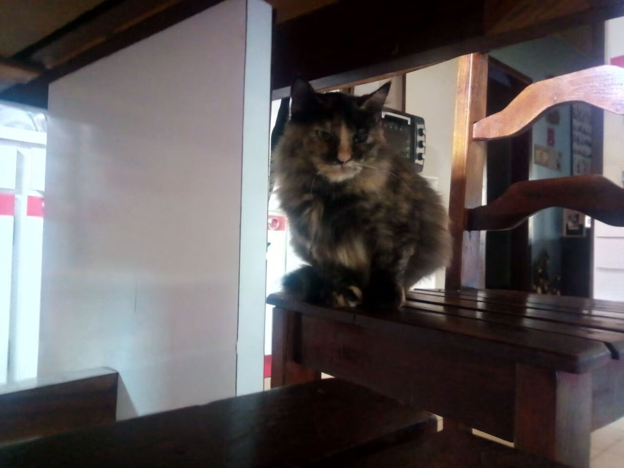 leyu乐鱼官网登录入口-中国青少年篮球赛事“走出去”，助力国际交流合作，2020年全国青少年篮球比赛有哪些