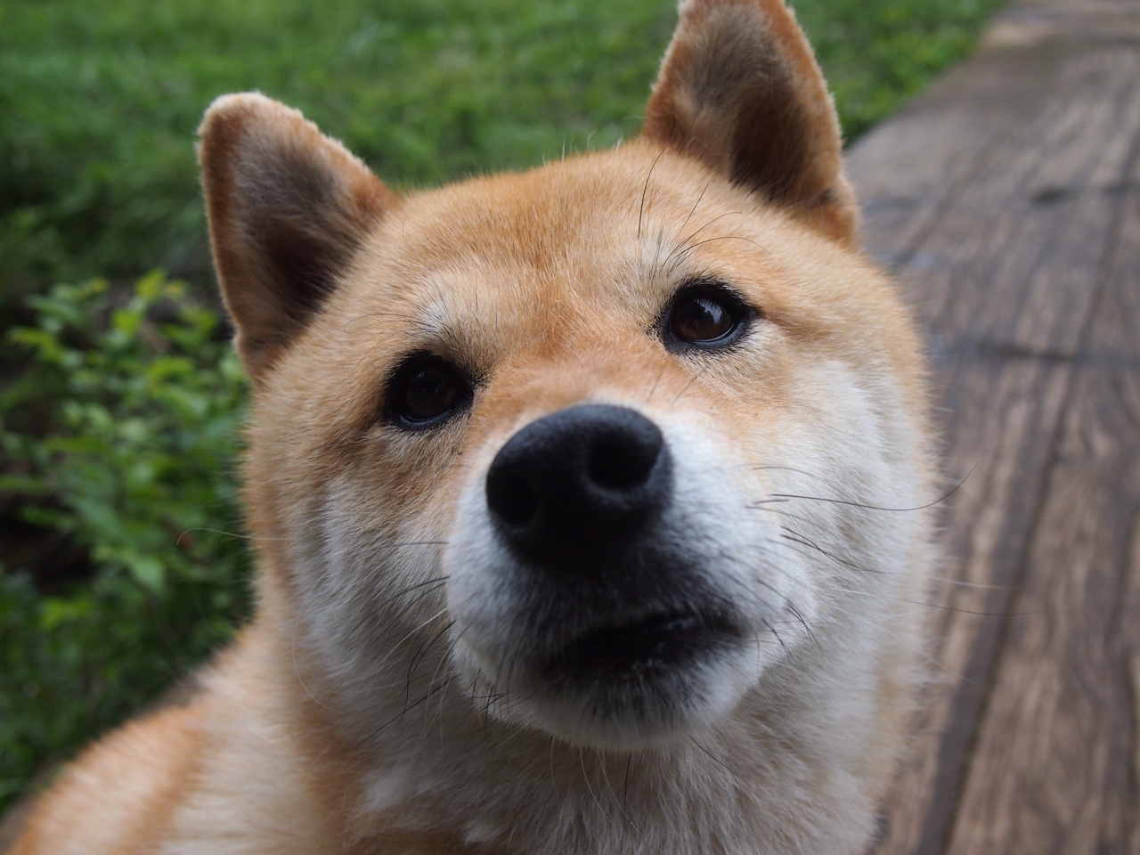 欧冠中的“金童”们：未来之星的起飞，欧足联金童奖