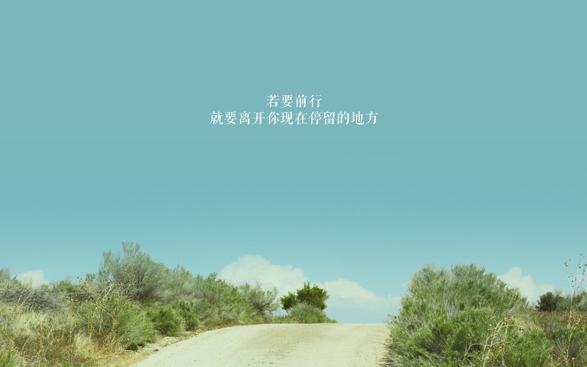 一场比赛中新秀球员展现出色的表现，新秀球员什么意思