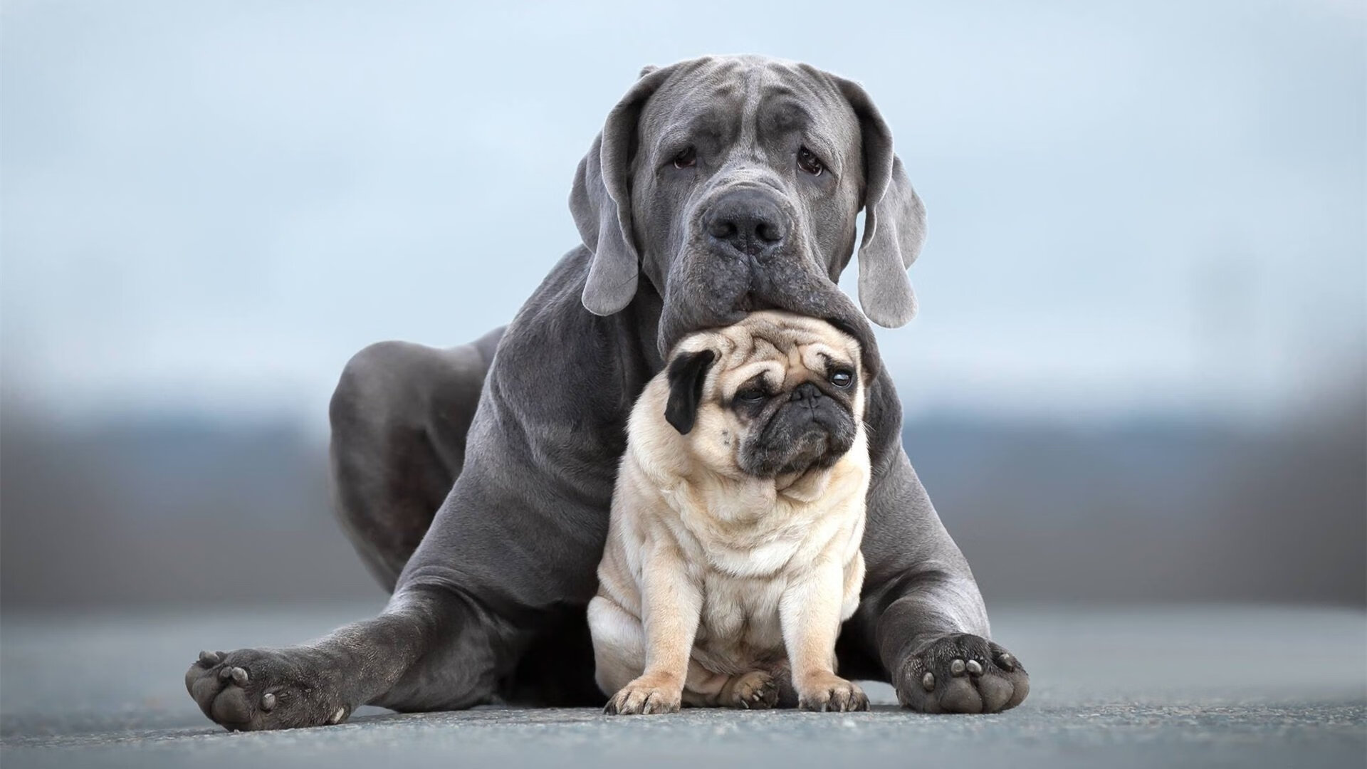 全民健身公共服务提质升级，满足群众多元需求，全民健身服务中心是什么单位