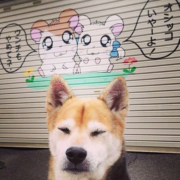 leyu乐鱼官网登录入口-帕尔马-击败巴勒莫，取得胜利，帕尔马当年有多强