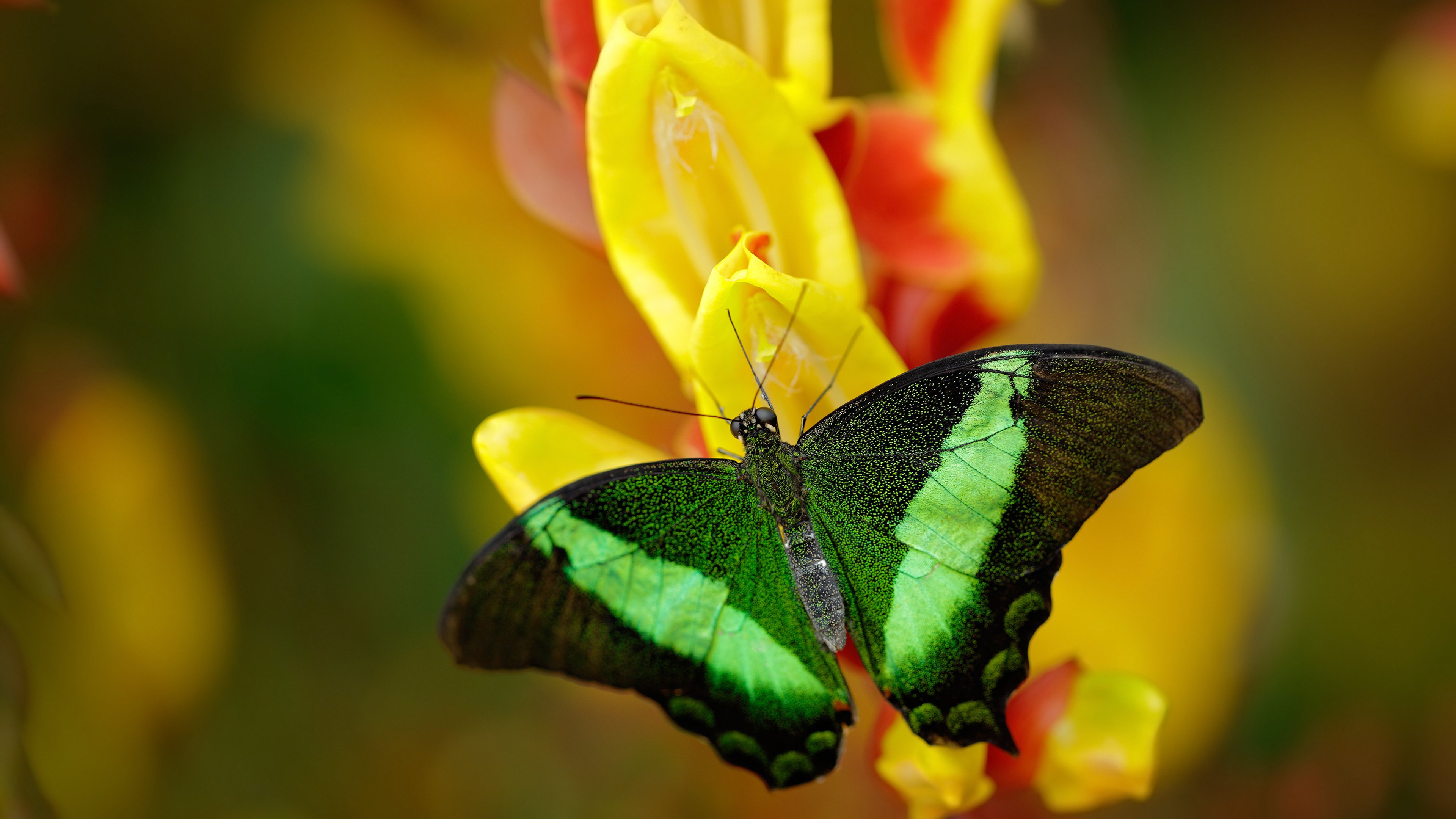 乐鱼电竞在线平台-意甲赛场上球员发生了一场激烈的肢体冲突，意甲赛场上球员发生了一场激烈的肢体冲突对吗