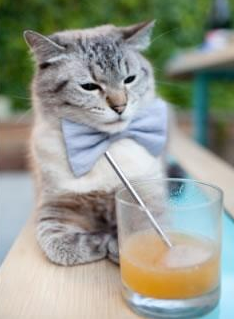 热那亚主场击败AC米兰，波托罗绝杀功臣，热那亚球员