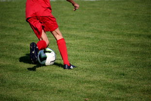 乐鱼官网-中国篮球青年运动员选拔体系研究，中国篮球国家青年队选拔方式