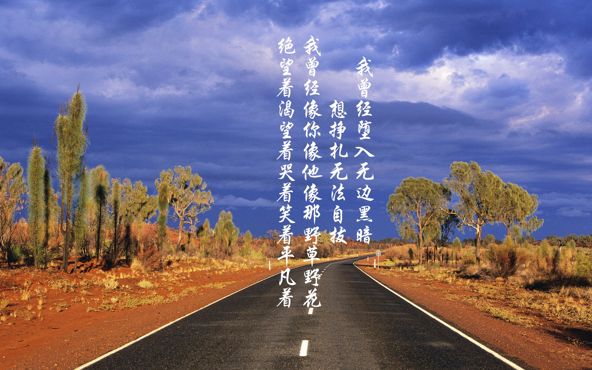 “运动舞蹈：舞步间的爆发力和灵巧度，金牛区城北体育馆见证精彩时刻”