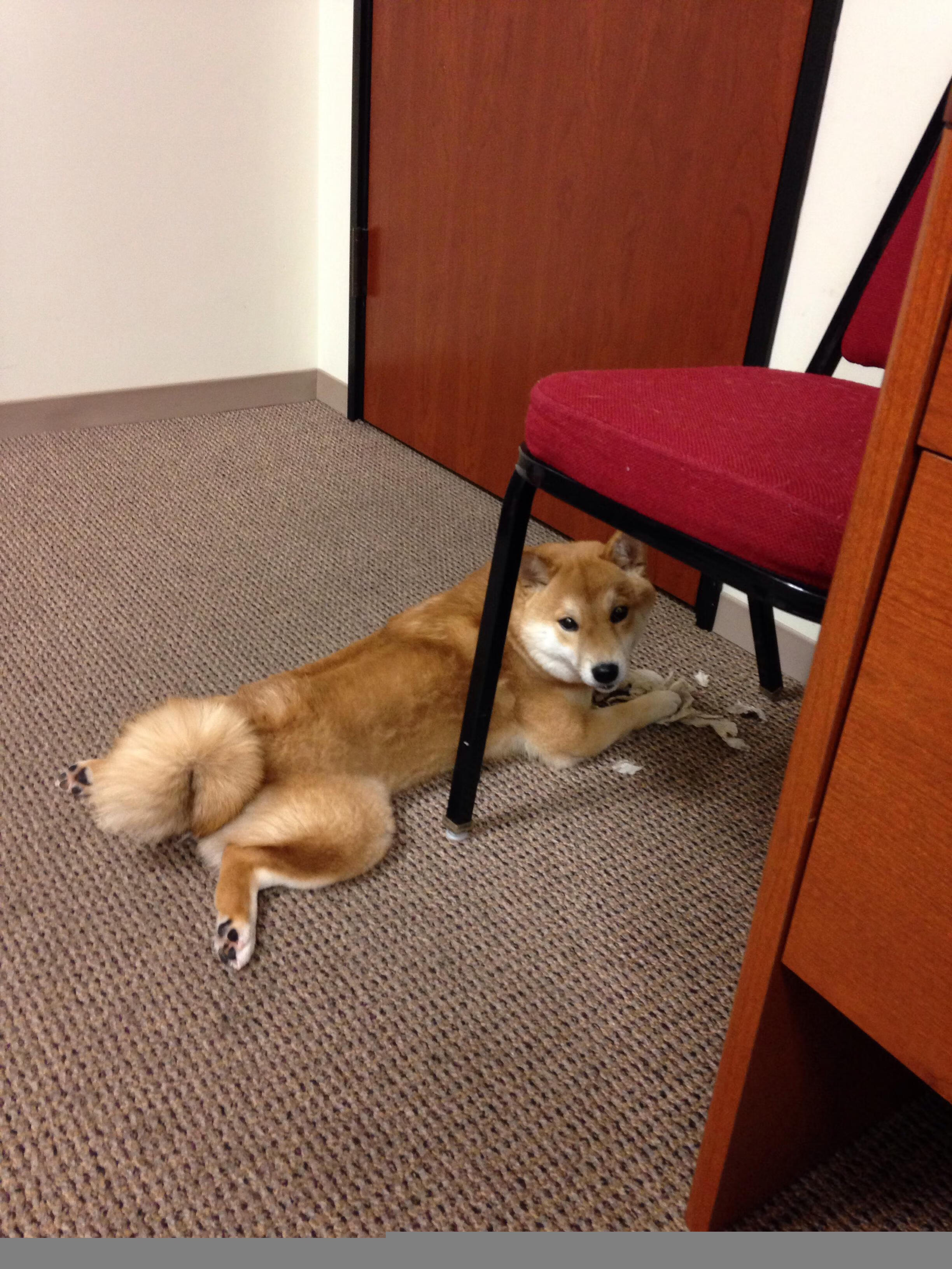 中国女篮提升三分线外投射能力，女篮3分线和男篮一样吗