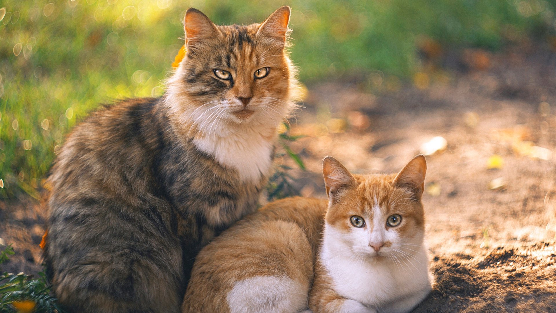 乐鱼娱乐app-亚洲杯中国女足战胜 球员信心倍增，中国女足亚洲杯战绩