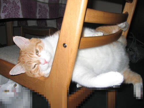 维拉锋线球员效率提高助力连胜走势，维拉vs