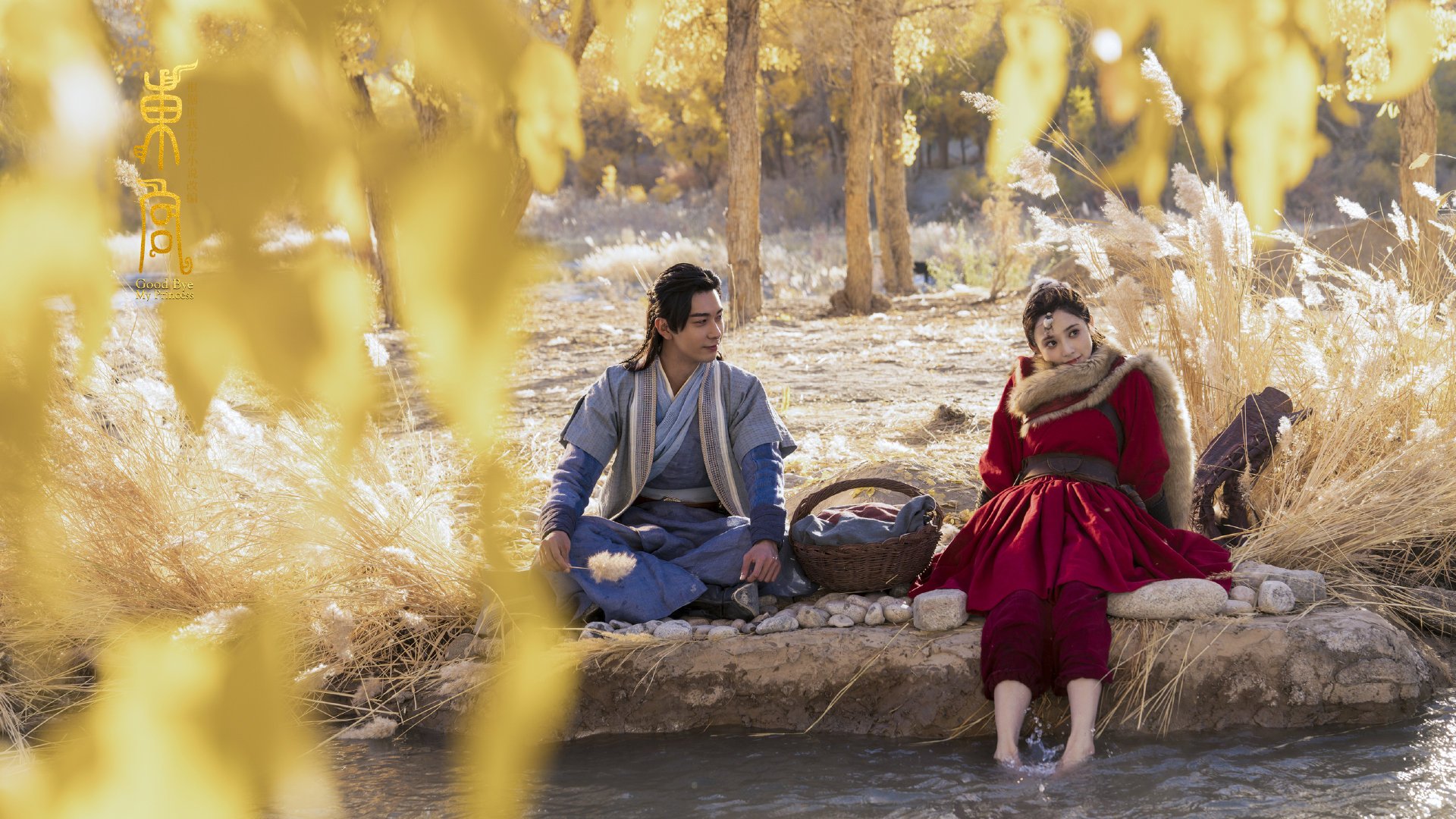 自由搏击赛事水平稳步提升,自由搏击日常训练项目