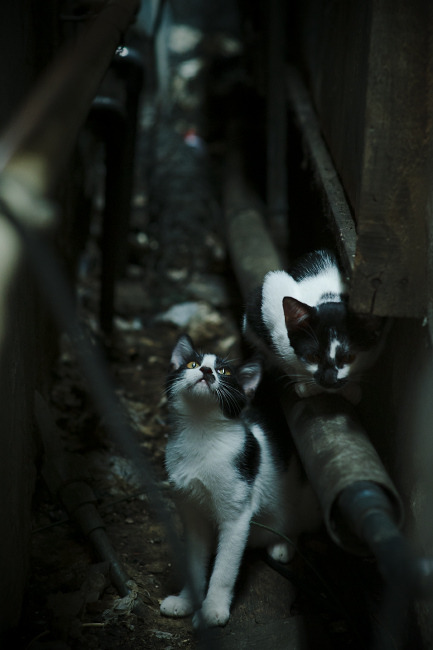 掘金全队三分手感火热命中率达五成，掘金队队史最高分