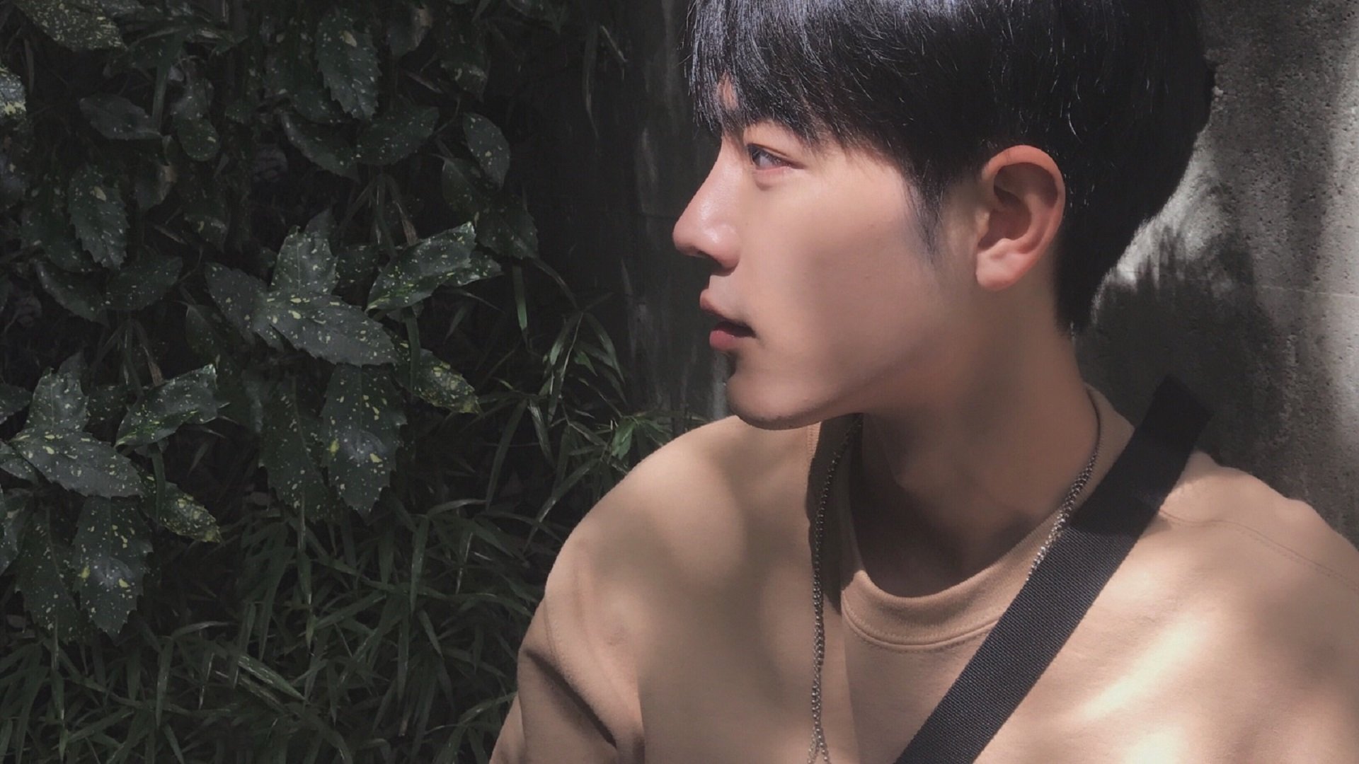 乐鱼电竞· (中国)官方网站-自由泳短程中立代表队A突破个人纪录，自由泳冠军速度