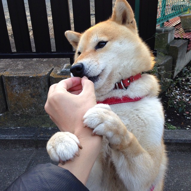 自由泳短程中立代表队A突破个人纪录，自由泳冠军速度