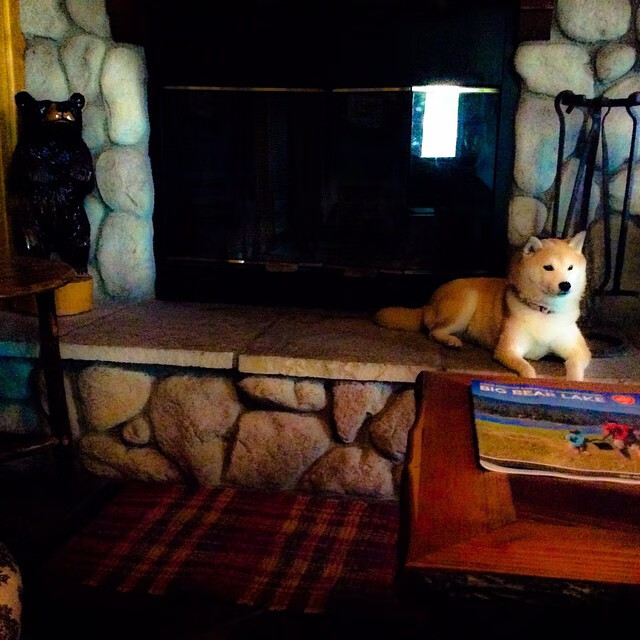 雷霆召开媒体说明会回应战术质疑,雷霆消息